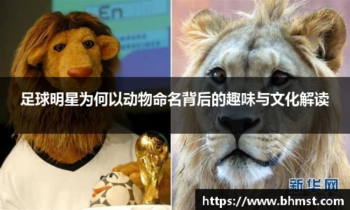 足球明星为何以动物命名背后的趣味与文化解读